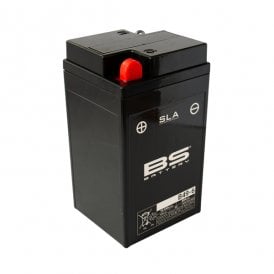 BS B49-6 SLA (WC) Factory Activated Battery