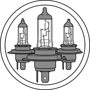 Bulbs