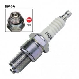 NGK BM6A Spark Plug (5921) Horticultural