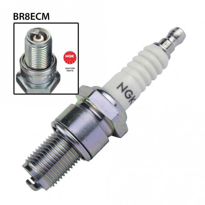 NGK  BR8ECM Spark Plug (3035)